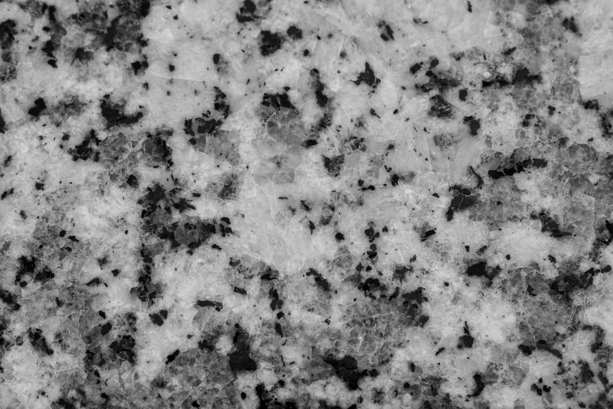 Polished granite slab samples showing natural stone material textures, close-up of granite surface with characteristic veining and polish